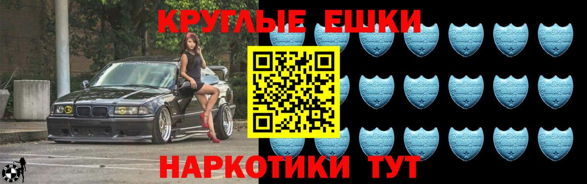 Ecstasy Philipp Plein Гудермес