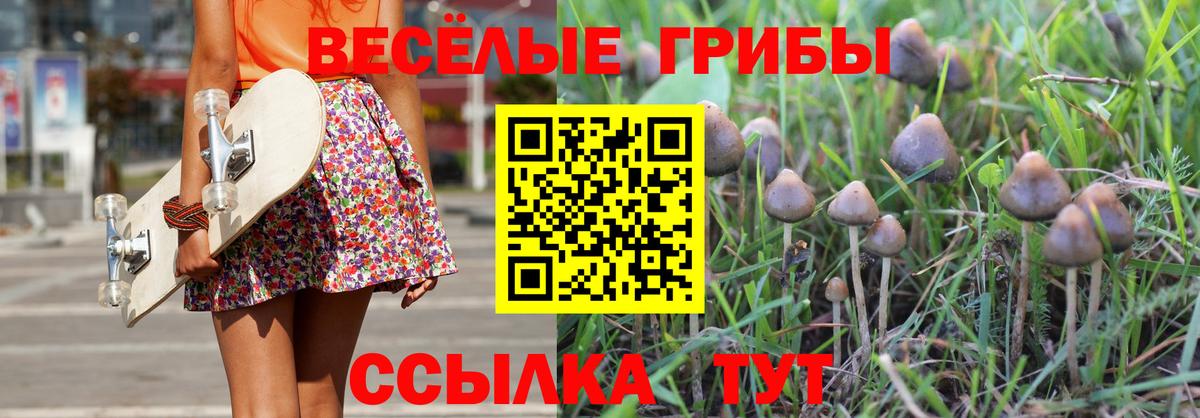 Гудермес  Псилоцибиновые грибы Cubensis  Вход с VPN 